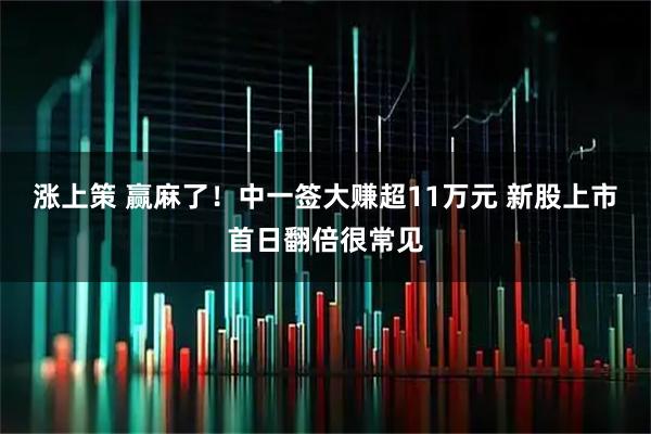 涨上策 赢麻了！中一签大赚超11万元 新股上市首日翻倍很常见